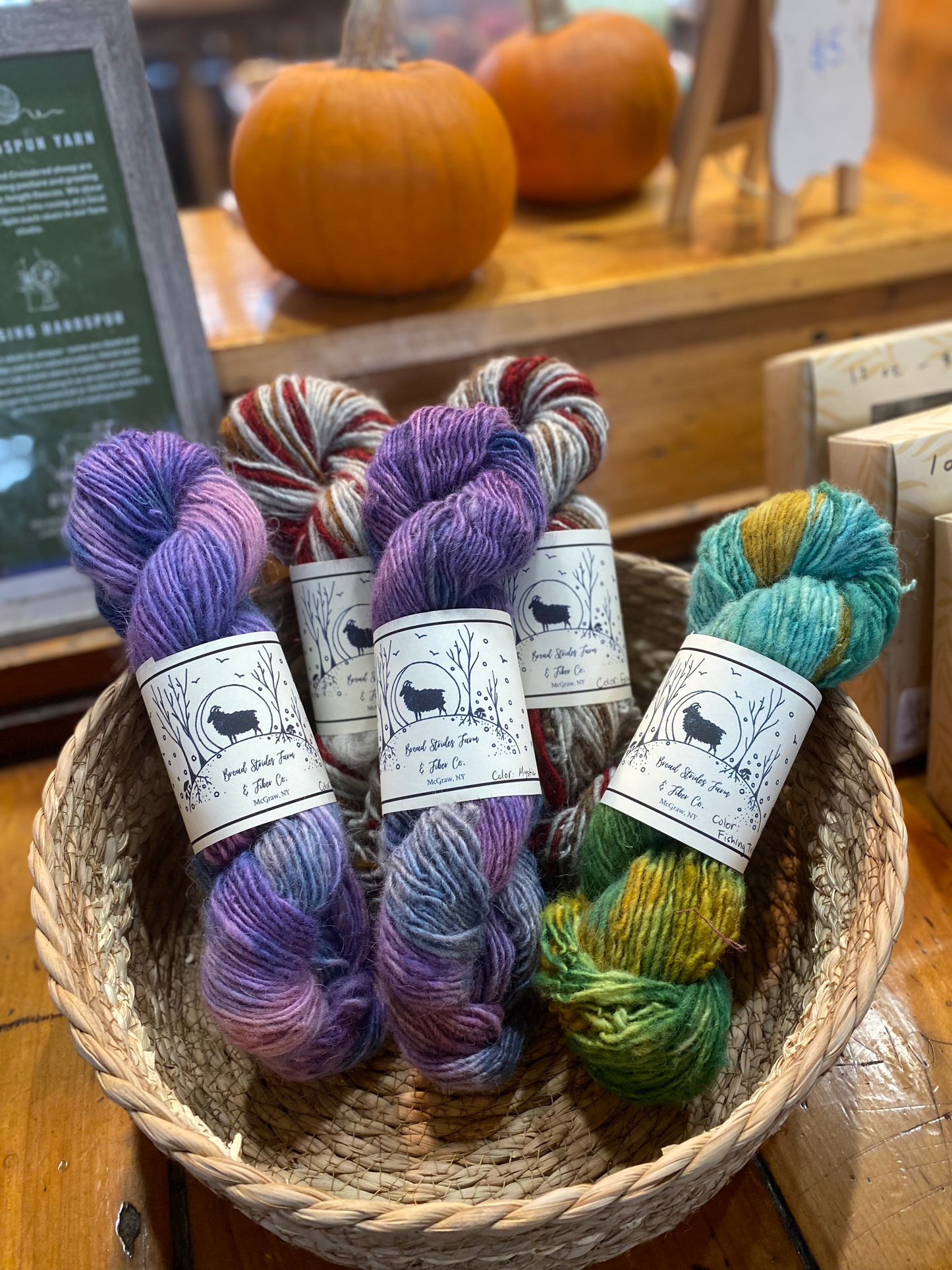 Handspun Farm Yarn in Colorway Cayuga